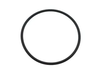 Victor Reinz O-Ring - 11657577018